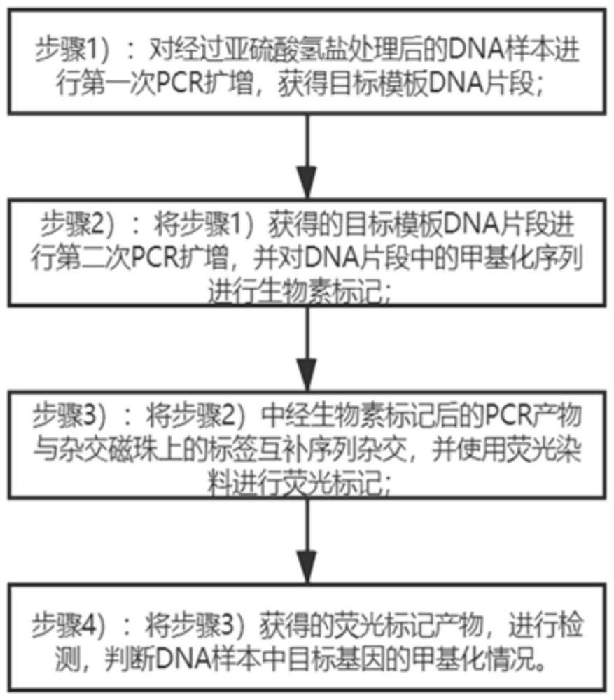 Polygene combined methylation detection method and application thereof