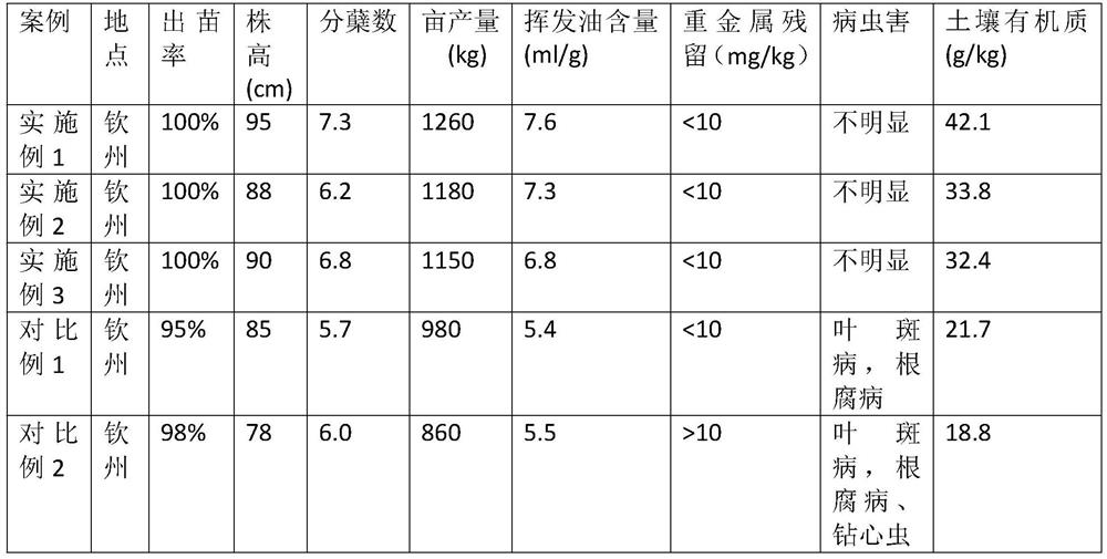 Organic planting and cultivation method of Guangxi curcuma zedoary