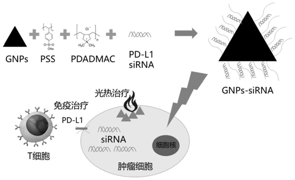 Multifunctional nano-drug delivery carrier targeting lung cancer genes and its preparation and application