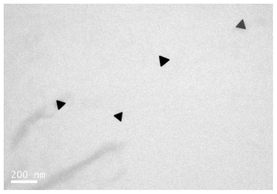 Multifunctional nano-drug delivery carrier targeting lung cancer genes and its preparation and application