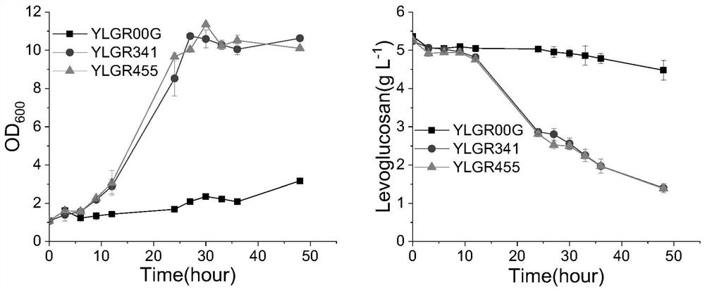 Method for improving transport capacity and utilization capacity of levodextran in saccharomyces cerevisiae strain