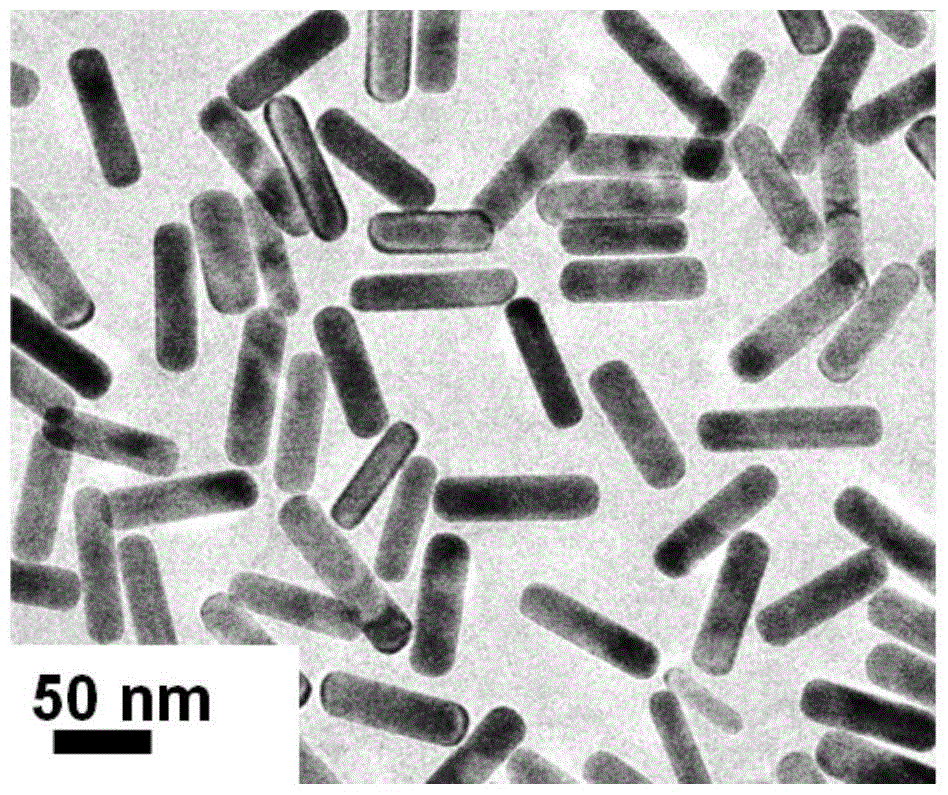 A kind of gold nanorod array and its preparation method and application