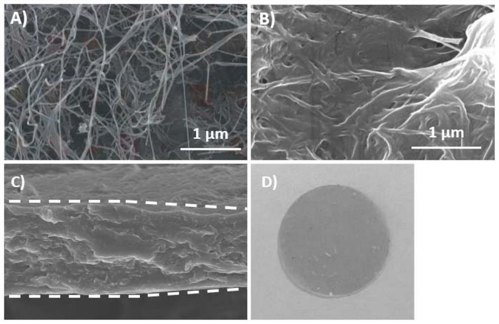 A kind of molecular brush polymer film based on cellulose network structure and its preparation method and application