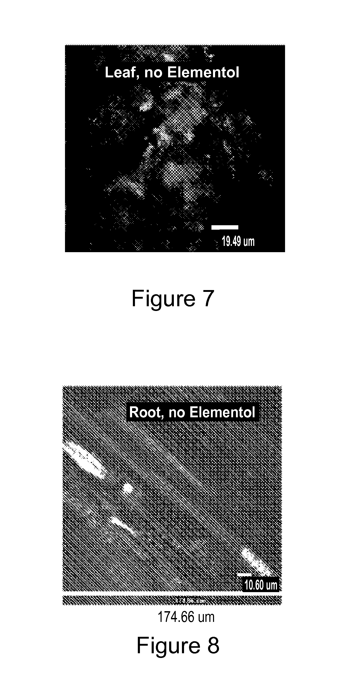 Plant support formulation, vehicle for the delivery and translocation of phytologically beneficial substances and compositions containing same