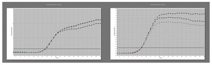 Sequence siRNA-180 achieving targeted inhibition of mouse interleukin-17A gene