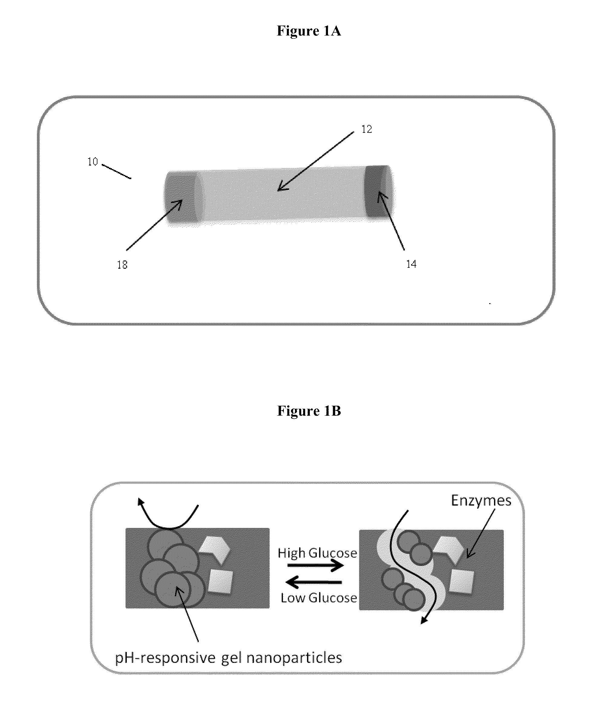 Implantable-glucose responsive insulin delivery device