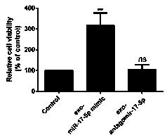 RNA inhibitor and application thereof