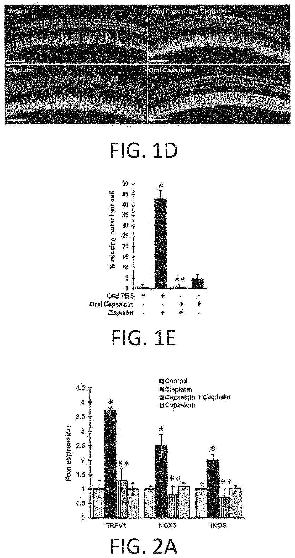 REGIMENS, COMPOSITIONS AND METHODS WITH CAPSAICIN AND TNF-alpha INHIBITOR
