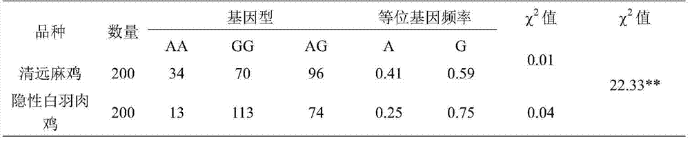 Chicken muscle fiber-type property-related gene molecule marker and use thereof