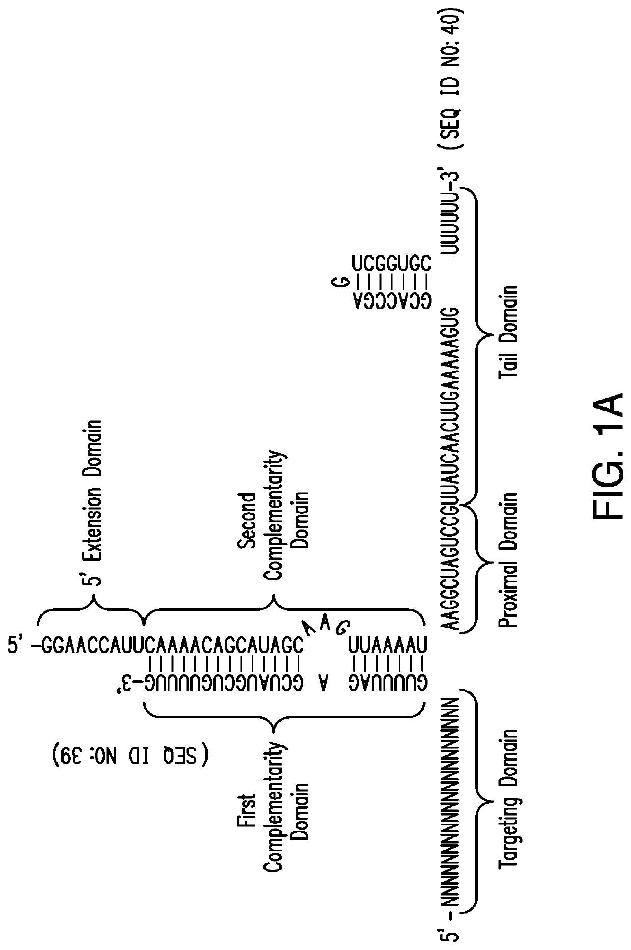 CRISPR/Cas-related methods and compositions for treating herpes simplex virus