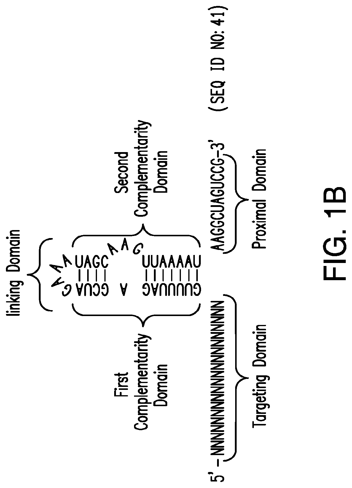 CRISPR/Cas-related methods and compositions for treating herpes simplex virus