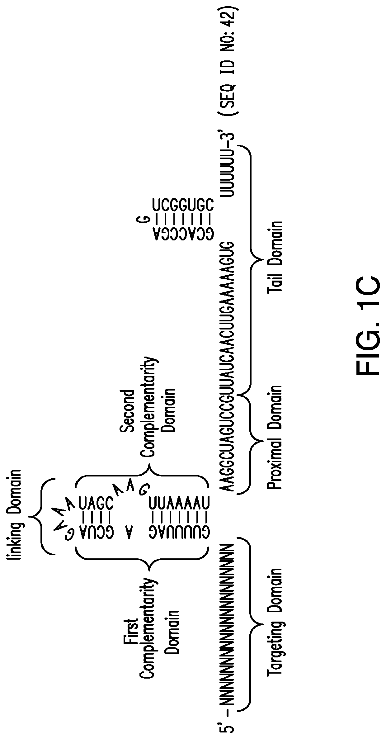 CRISPR/Cas-related methods and compositions for treating herpes simplex virus