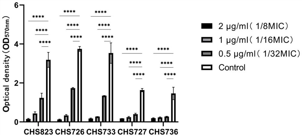 Application of benzbromarone in resisting infection of staphylococcus aureus and biofilm thereof