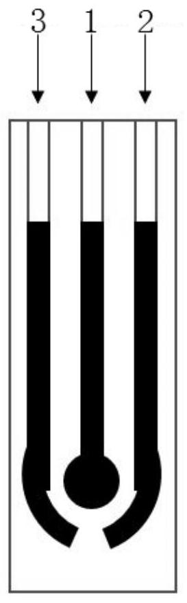 Nano gold/graphene modified screen printing electrode, preparation method and application