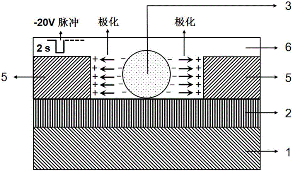 Fully depleted iron electric side gate single nanometer wire near infrared electro photonic detector and preparation method