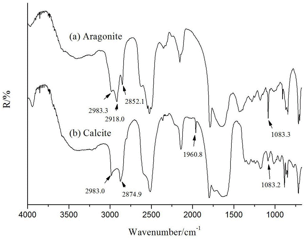 Microscopic Infrared Reflectance Spectrum Identification Method of Pearl Powder and Shell Powder