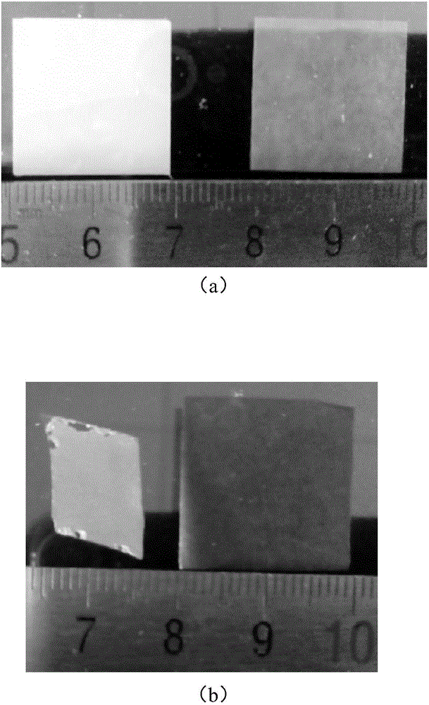 Method for preparing modified ceramic diaphragm through dopamine compound adhesive and application thereof