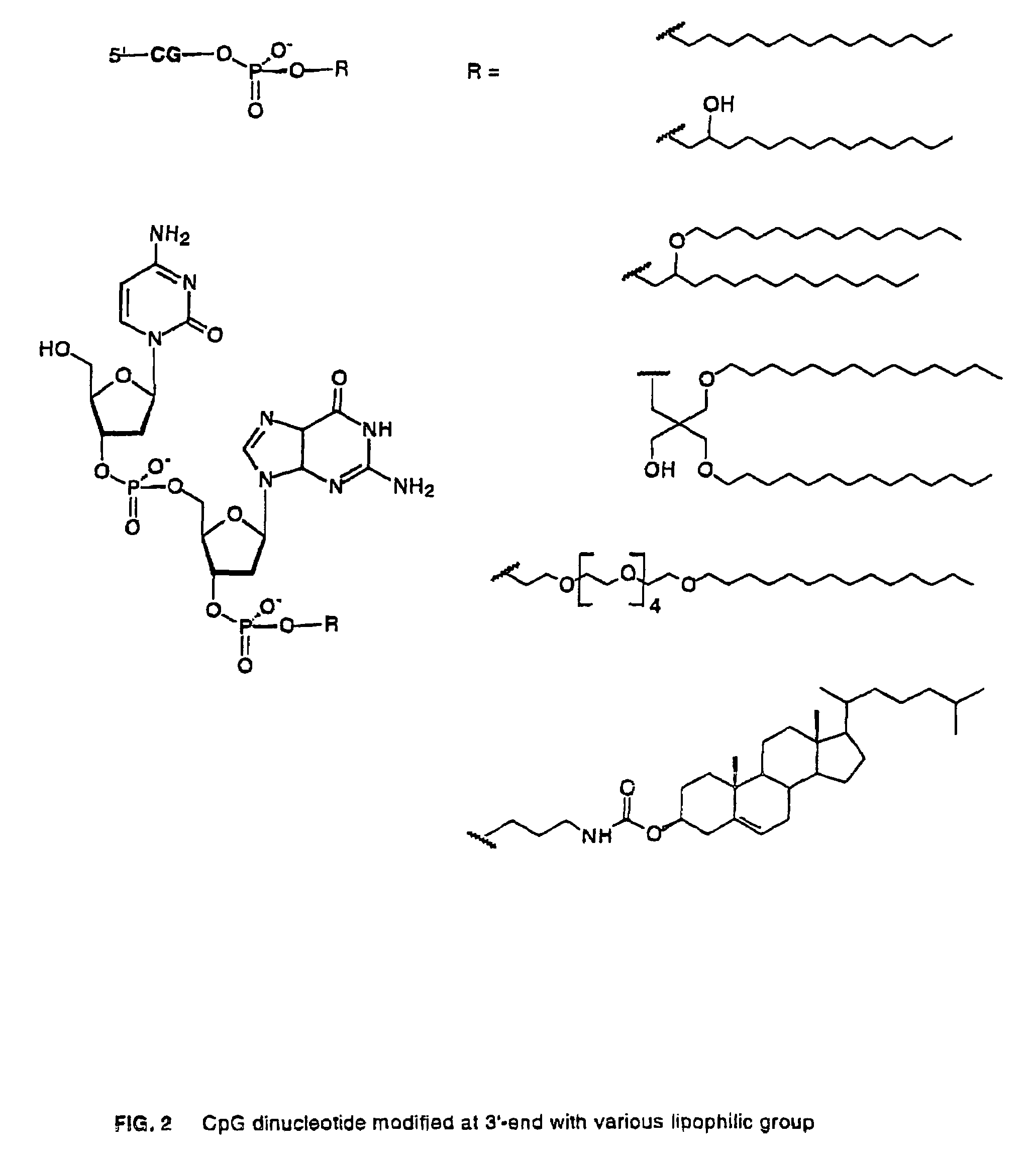 Immunostimulatory, covalently lipidated oligonucleotides