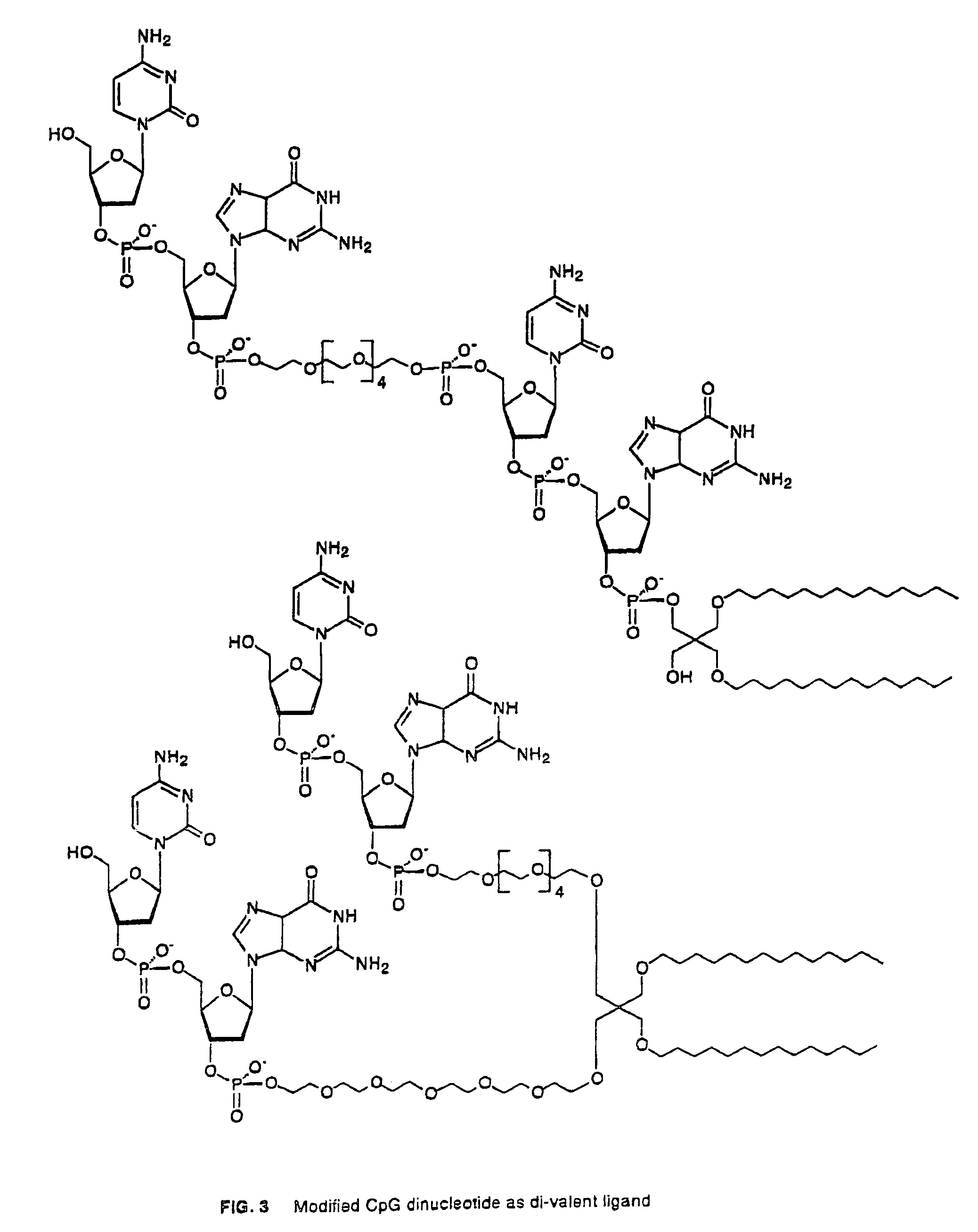 Immunostimulatory, covalently lipidated oligonucleotides