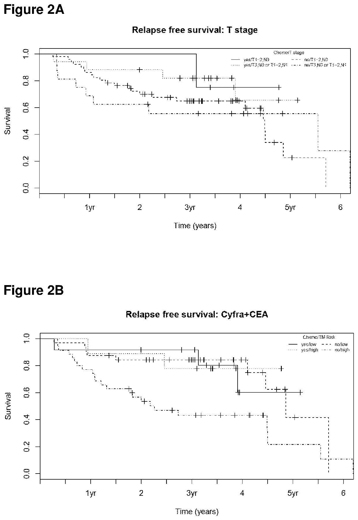 Methods of identifying an individual to be treated by chemotherapy based on cytokeratin-19 fragments (CYFRA 21-1) and carcinoembryonic antigen (CEA) marker molecules and related uses