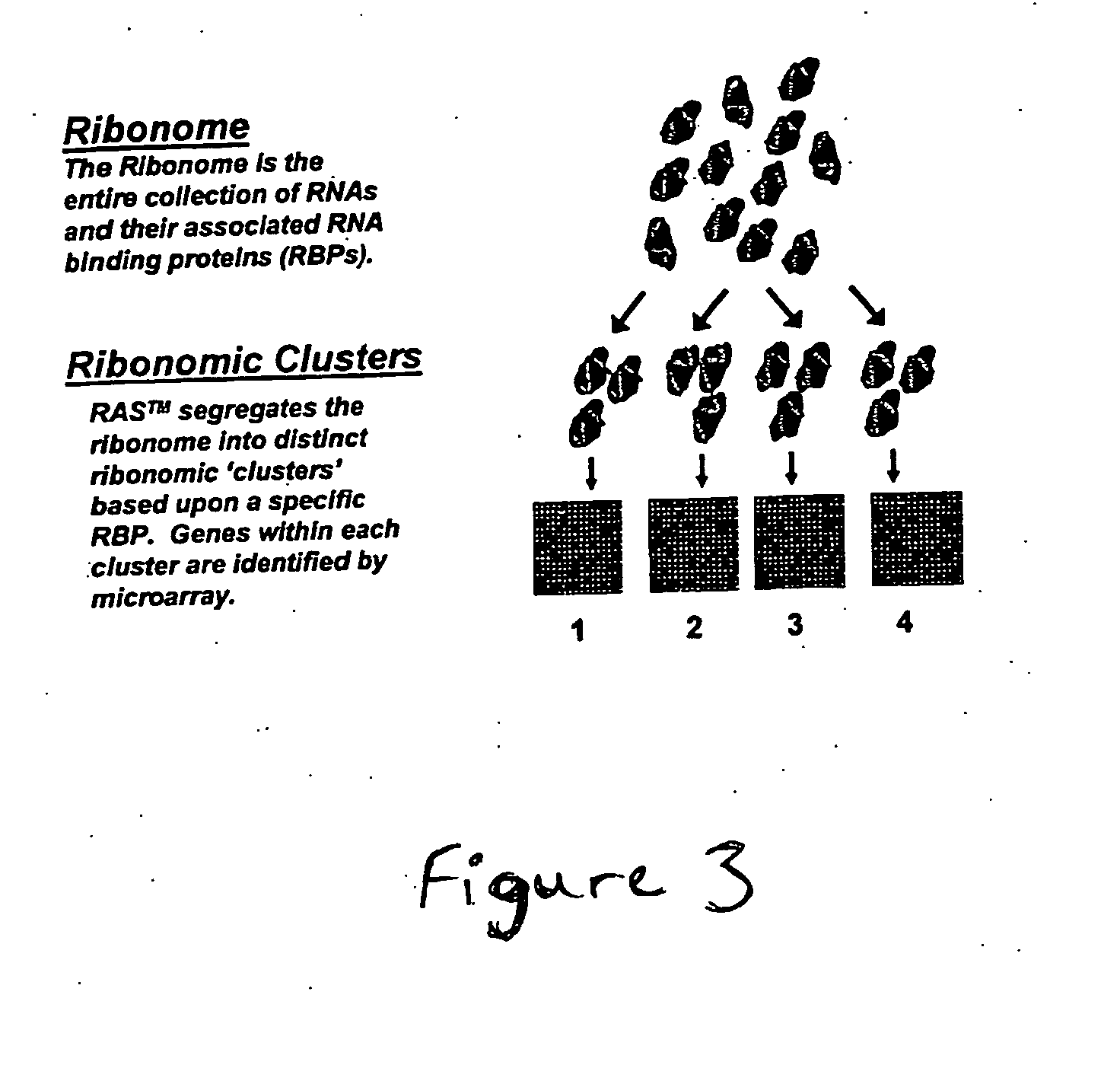 Methods for identifying therapeutic targets involved in glucose and lipid metabolism