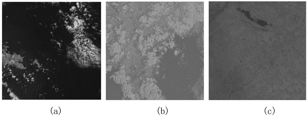 Remote sensing image cloud detection method based on pseudo color and support vector machine
