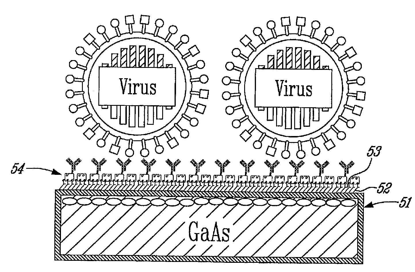 Quantum Dot Template for Fast and Simultaneous Detection of Different Infectious Agents