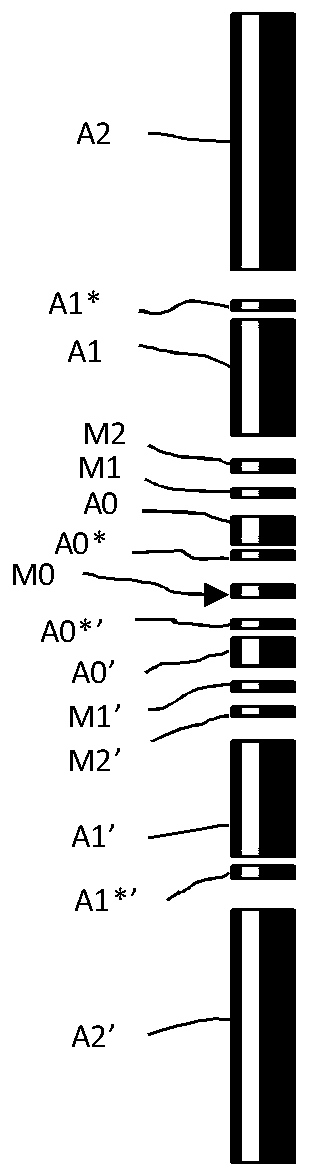 Dual lateral log equipment probe and dual lateral log equipment with probe