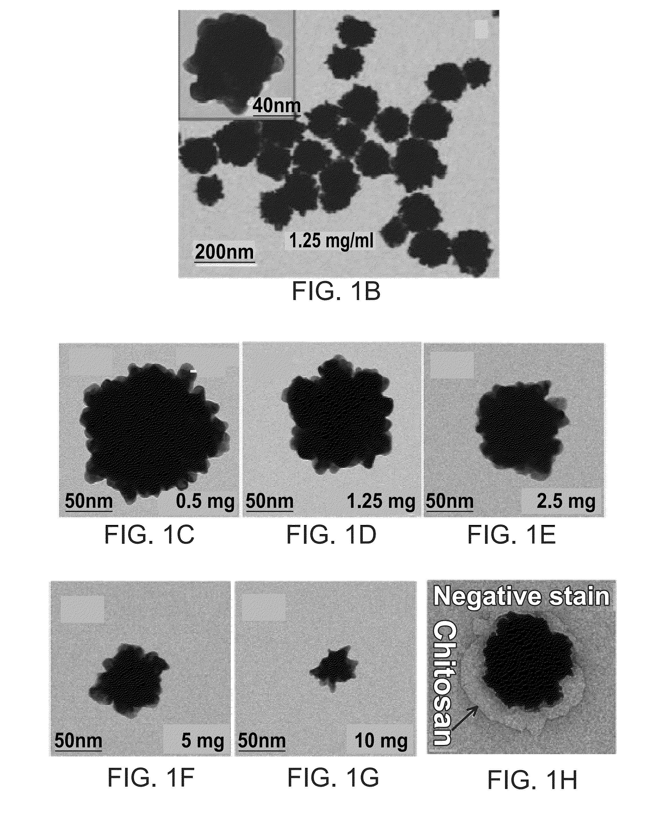 Nanoraspberries for photothermal cancer therapy