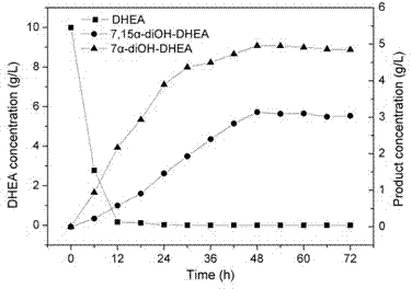 Method for hydroxylating dehydroisoandrosterone by using colletotrichumlini