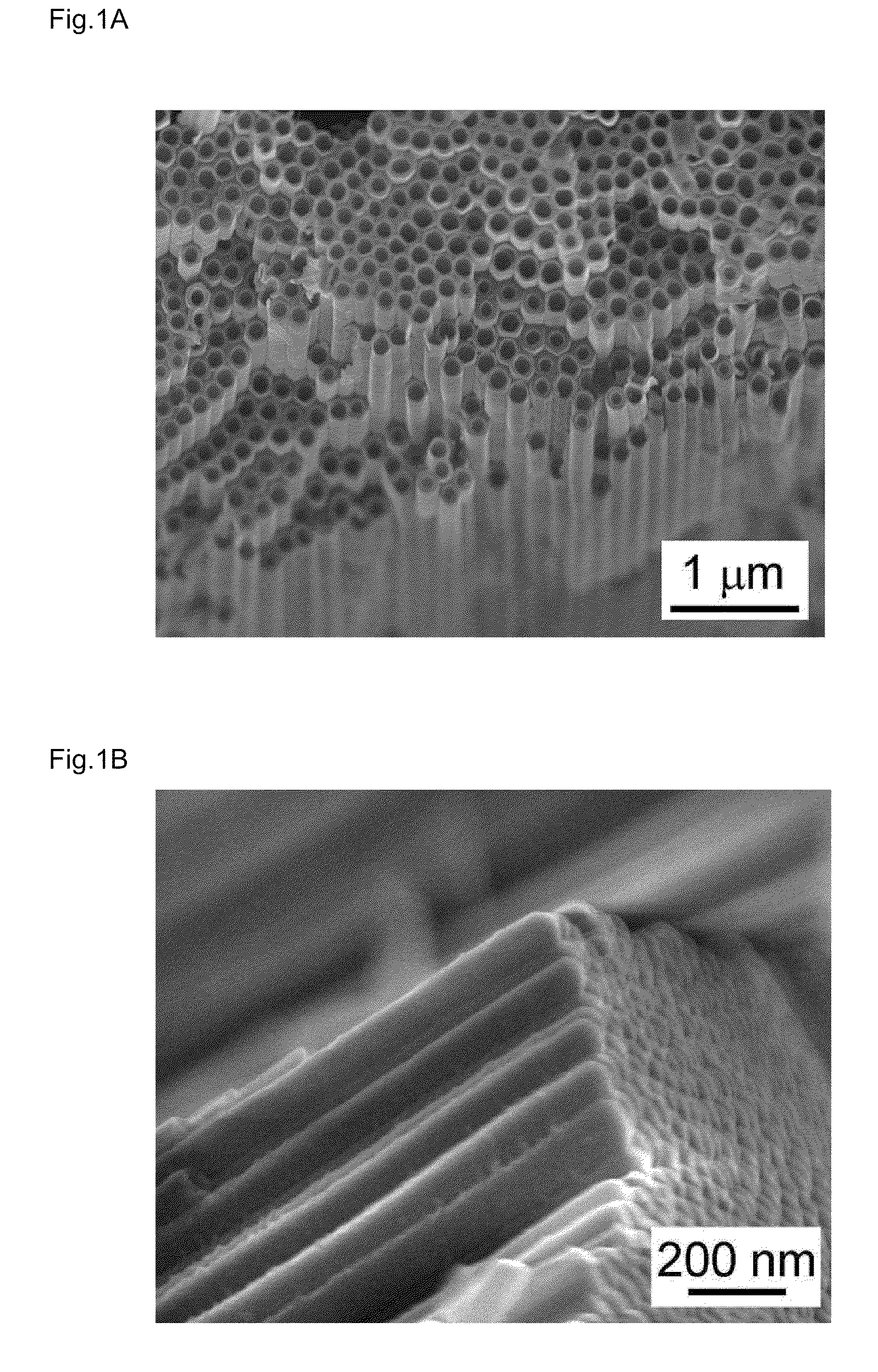 TiO2-xNx nanotubes and method for preparing the same