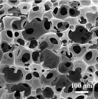 Method for preparing through-hole polymer porous aquagel by using graphene oxide (GO)