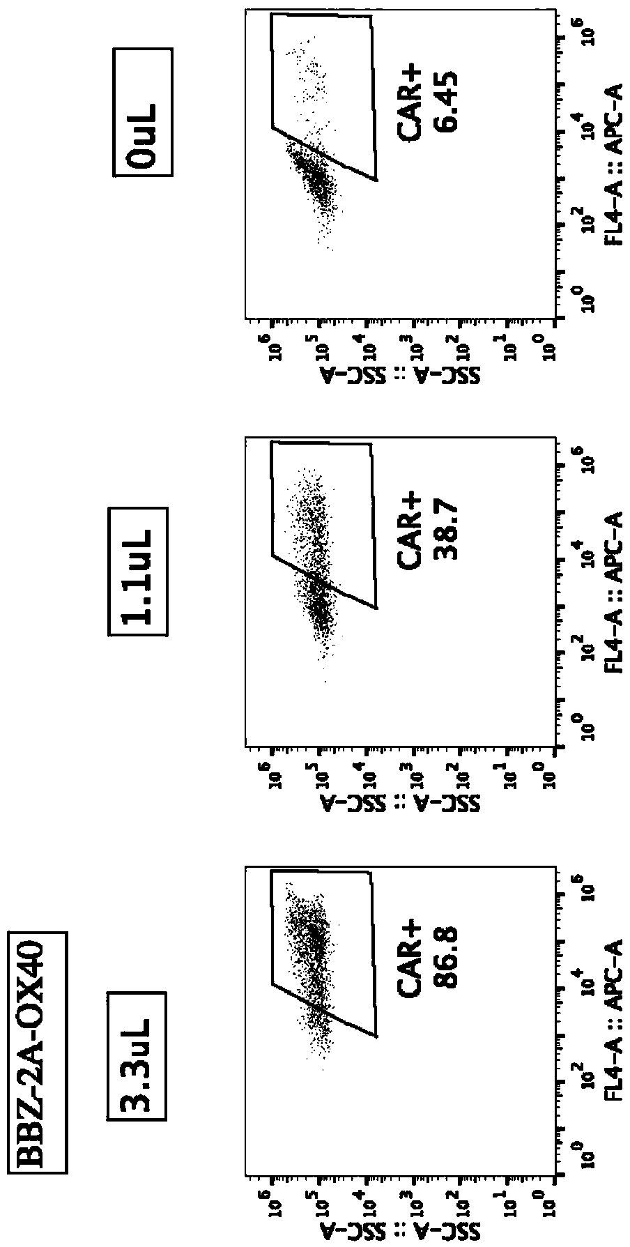 Chimeric antigen receptor comprising costimulatory receptor and application thereof