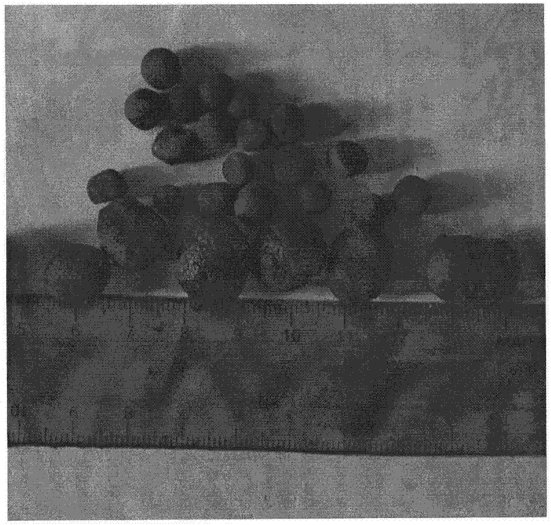 Method for preparing ultra-light high-strength ceramic aggregate from dredged bottom mud and nearshore high-sand content mud