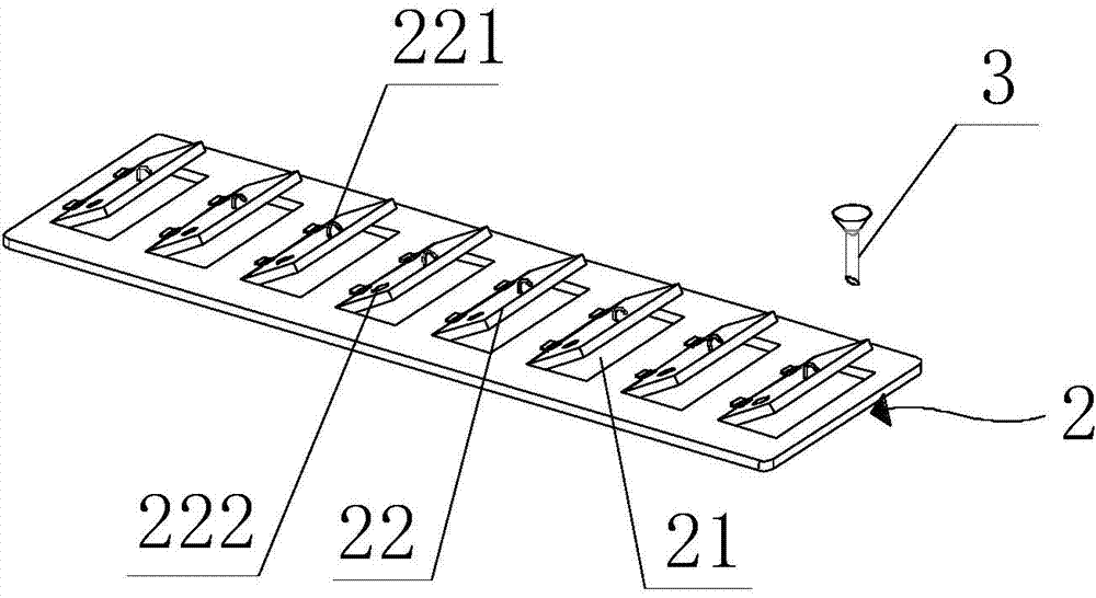 Immobilization device and immobilization method for pathological tissues