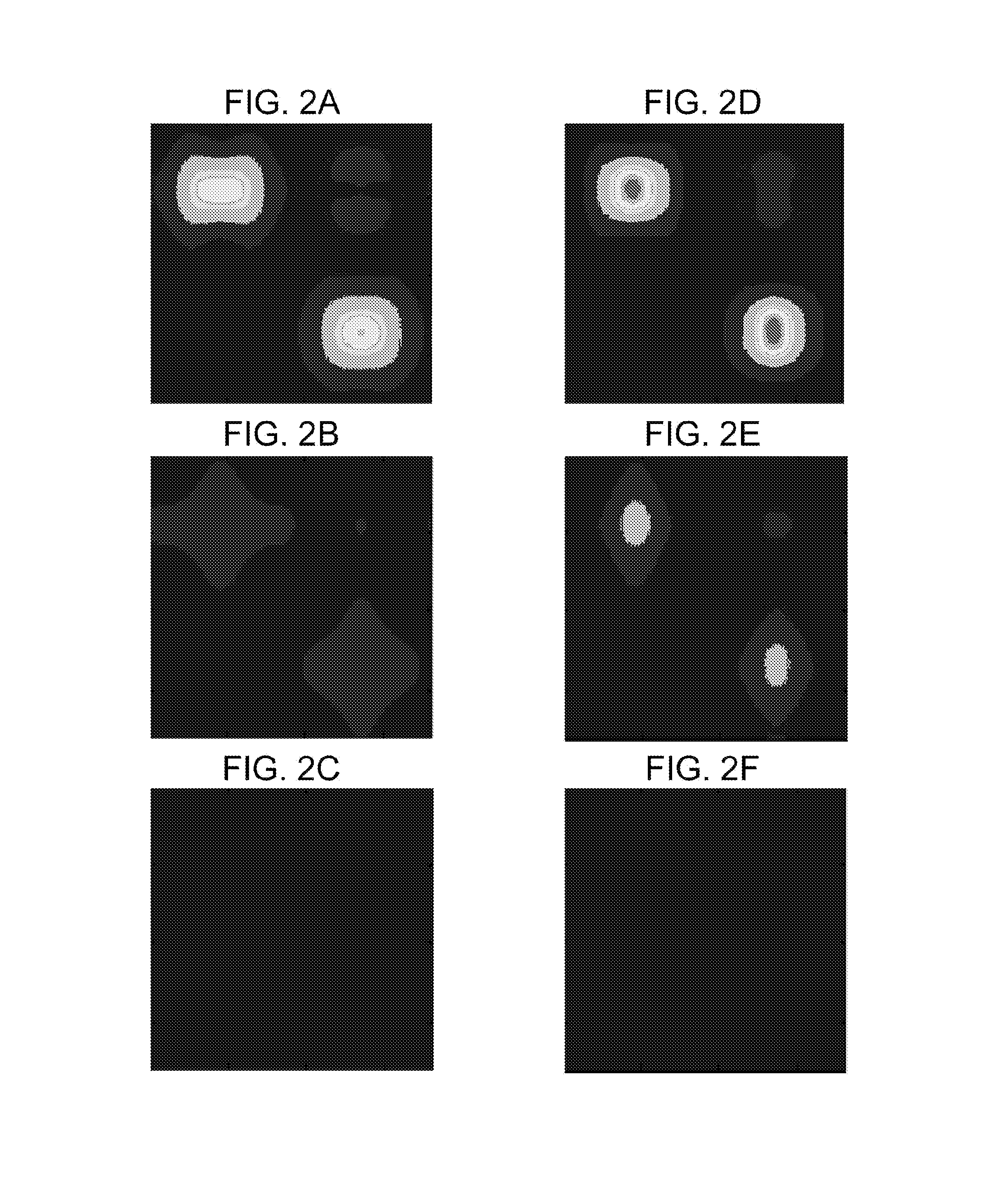 Solid-state imaging element