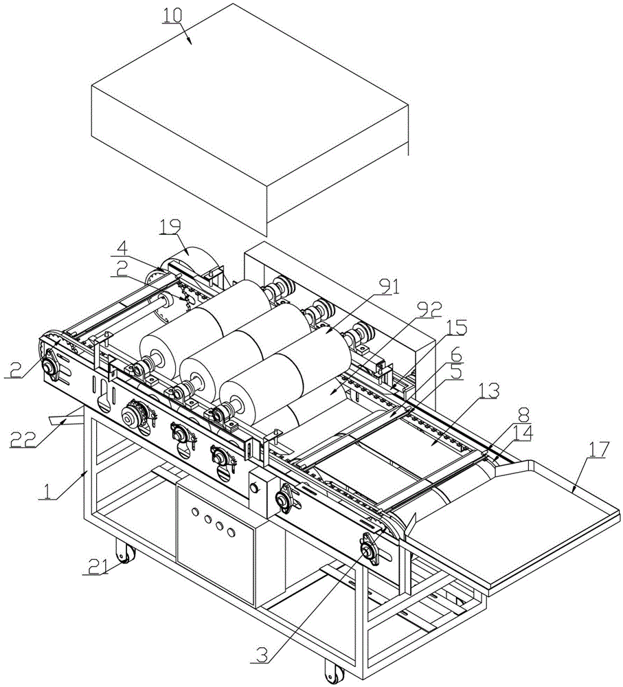 Fish scale removing device