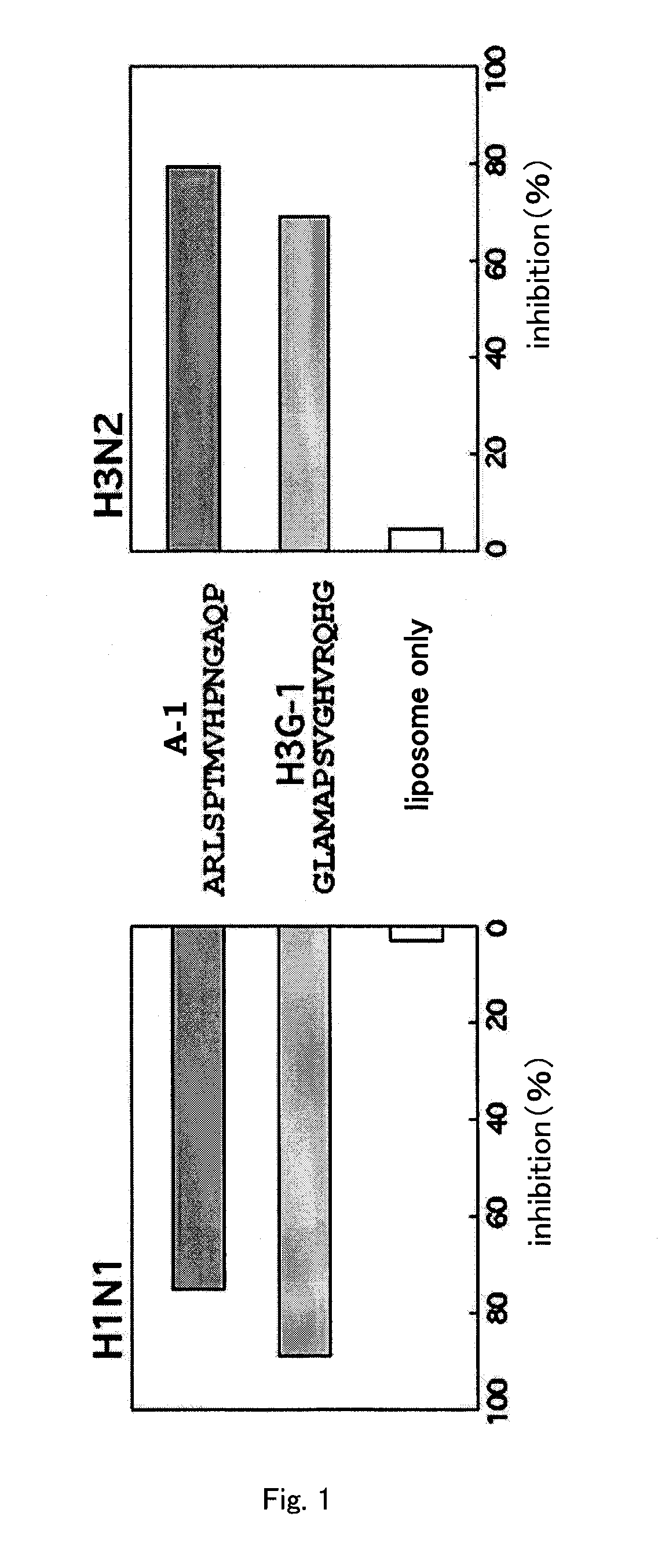 Influenza infection-inhibiting peptide, influenza virus infection inhibitor, liposome, and influenza preventive/therapeutic agent