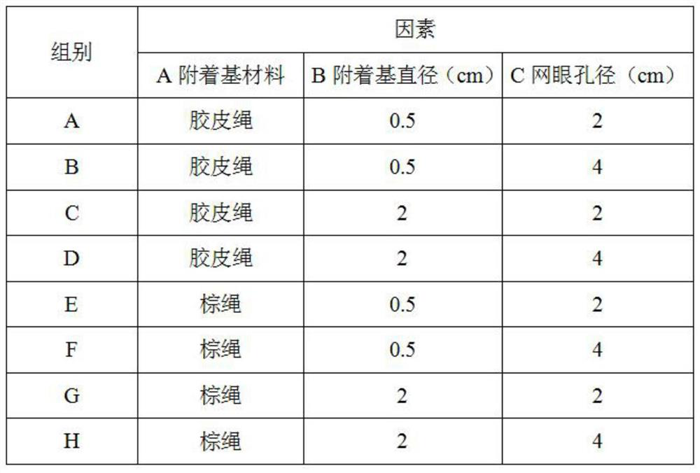 Method for designing sinking and floating type shellfish bed based on mussel population growth model