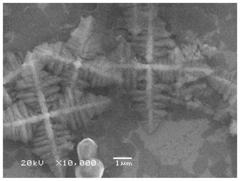 A method for preparing micron materials using surfactant-induced self-assembly metalloporphyrin