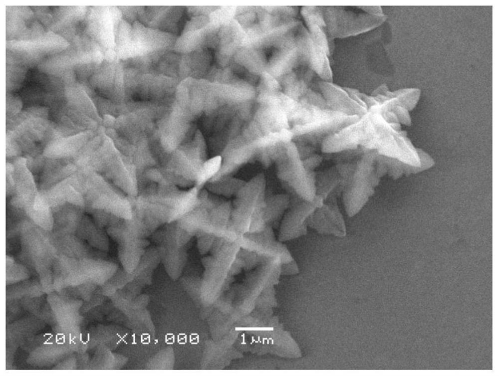 A method for preparing micron materials using surfactant-induced self-assembly metalloporphyrin