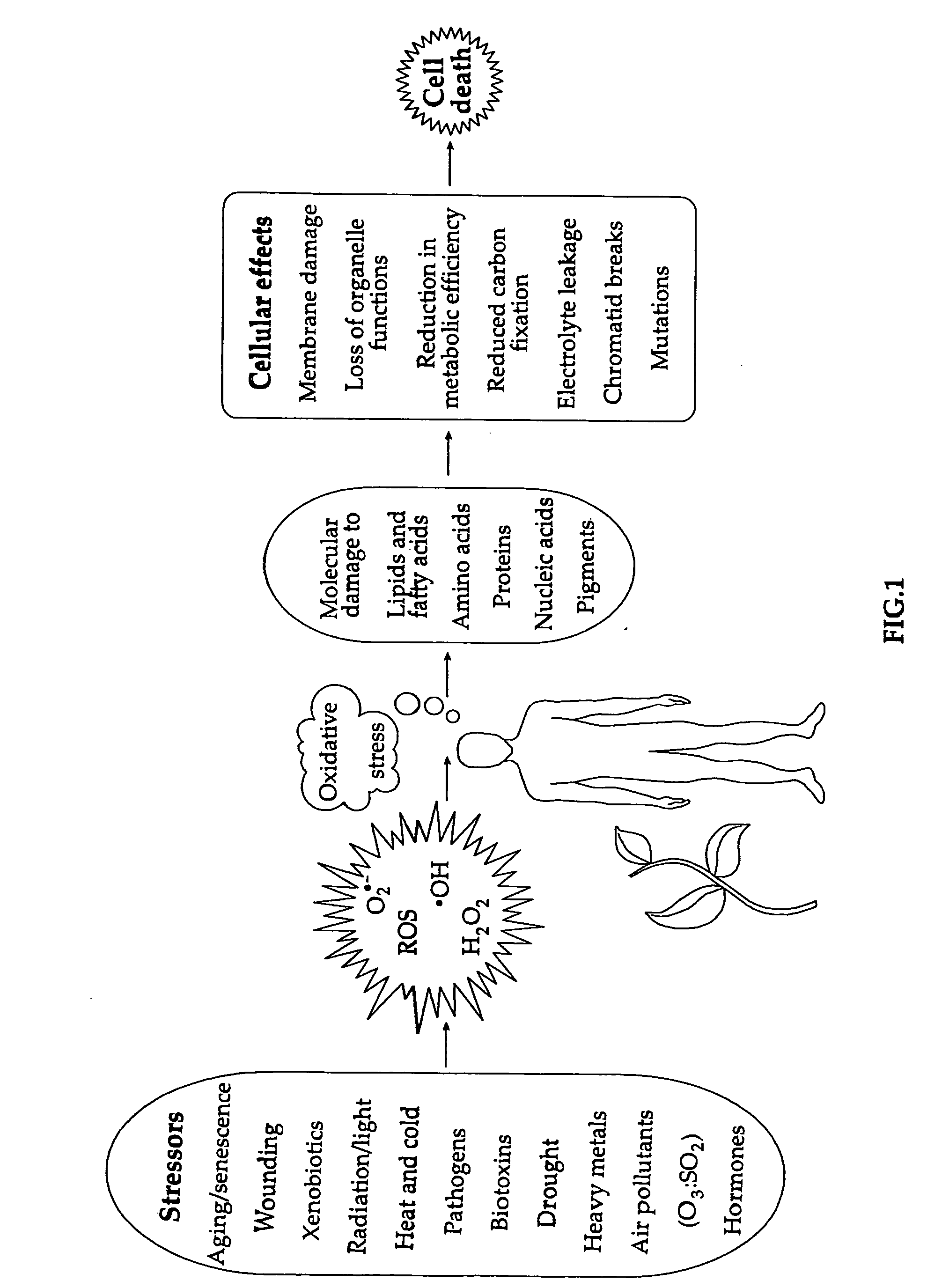 Population of cells utilizable for substance detection and methods and devices using same