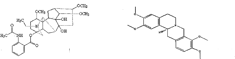 Analgesic anti-inflammatory composite medicament and method for preparing same