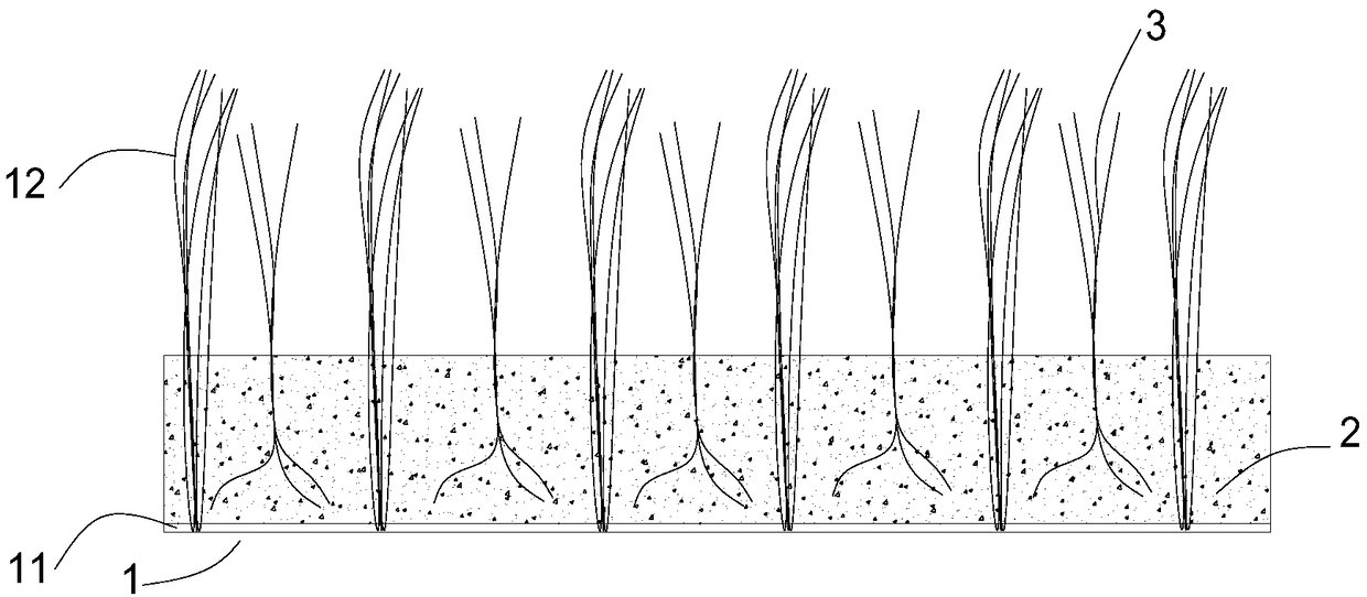 Natural grass and artificial grass-mixed lawn and preparation method thereof