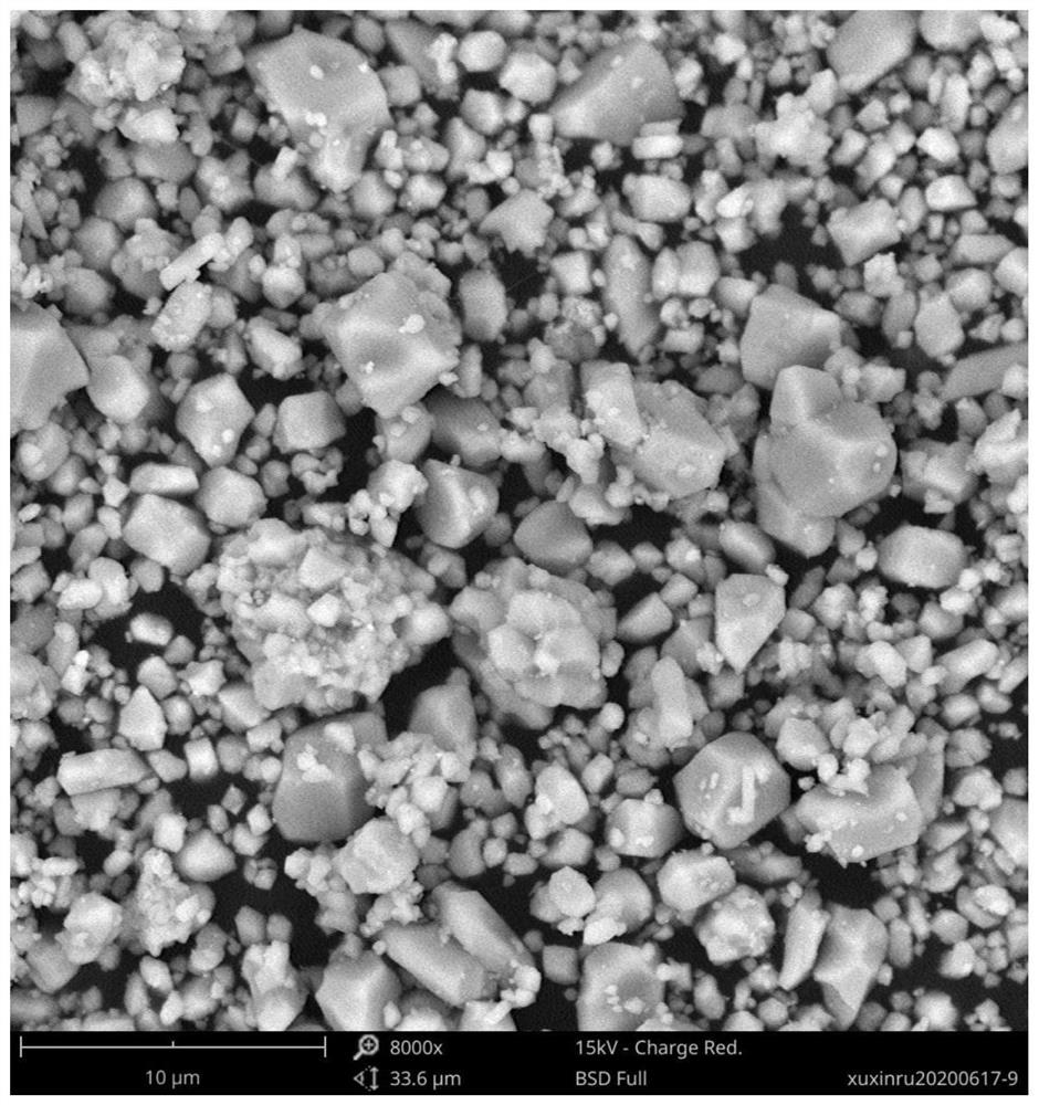 a dy  <sup>3+</sup> doped na  <sub>5</sub> y(moo  <sub>4</sub> )  <sub>4</sub> Warm white fluorescent powder and preparation method thereof