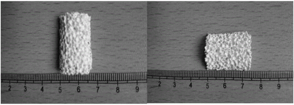 Bone repairing biological ceramic support material prepared on basis of dry laying-sintering technology and preparation method thereof