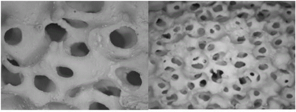 Bone repairing biological ceramic support material prepared on basis of dry laying-sintering technology and preparation method thereof