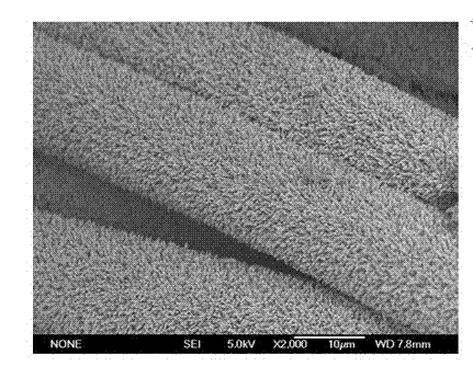 Method for preparing titanium dioxide nanocrystalline electrode