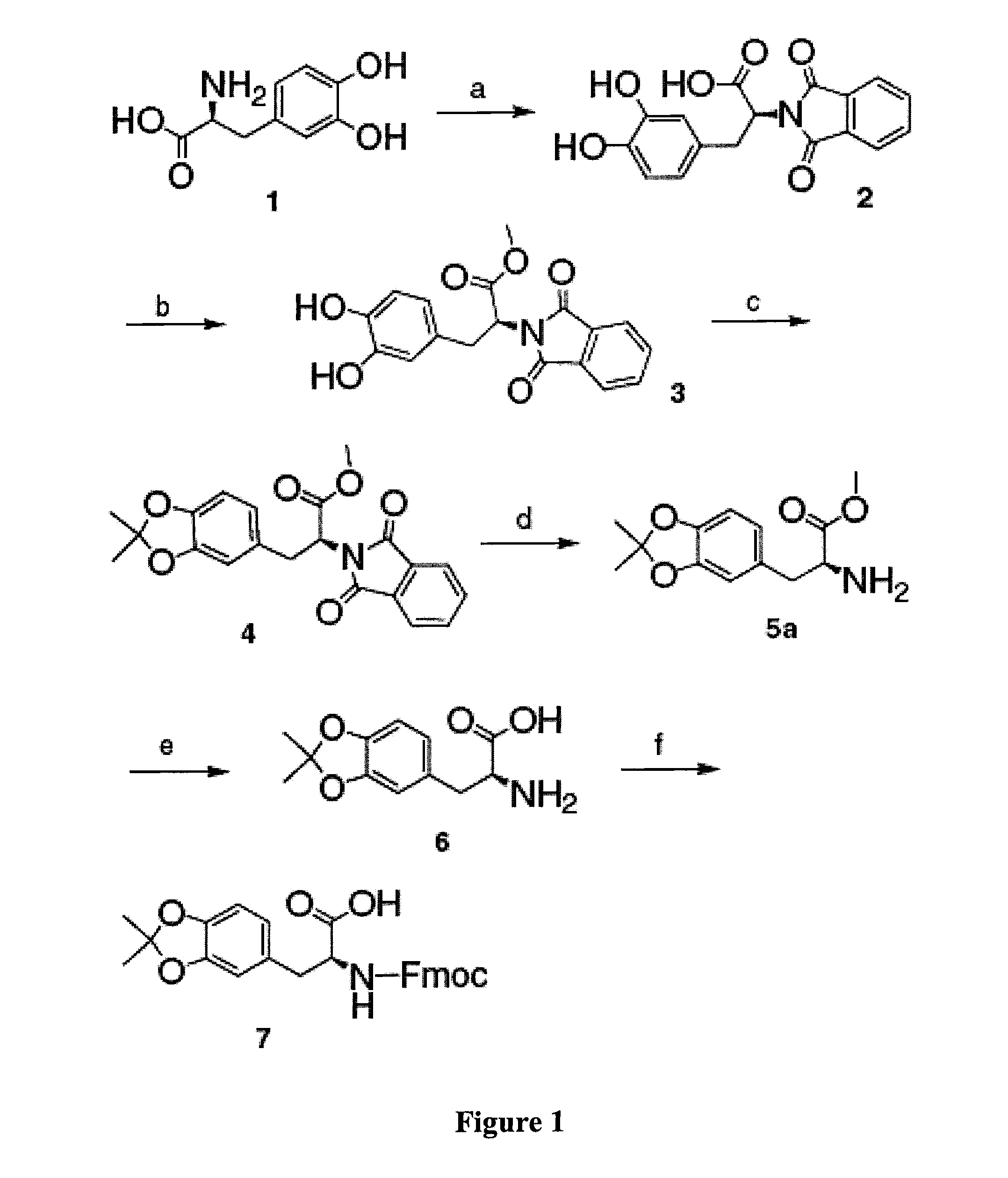 Method of Synthesizing Acetonide-Protected Catechol-Containing Compounds and Intermediates Produced Therein