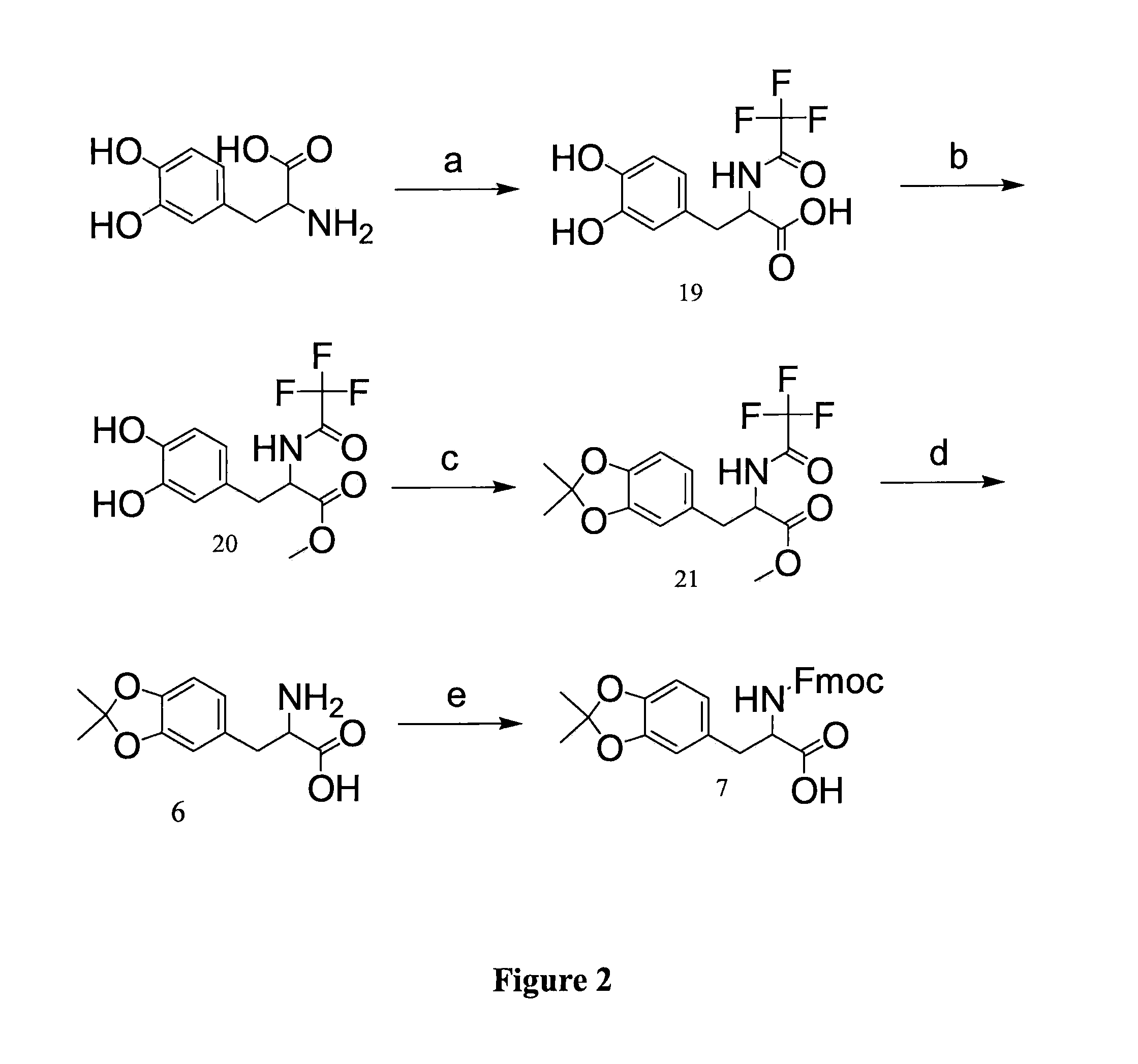 Method of Synthesizing Acetonide-Protected Catechol-Containing Compounds and Intermediates Produced Therein